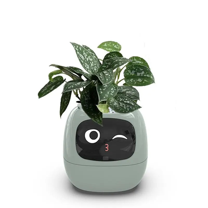 Smart Pot für Pflanze Kleiner Blumentopf
