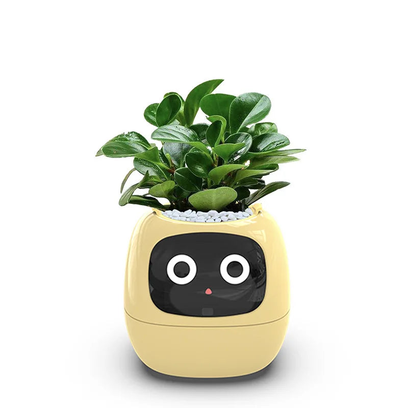 Smart Pot für Pflanze Kleiner Blumentopf