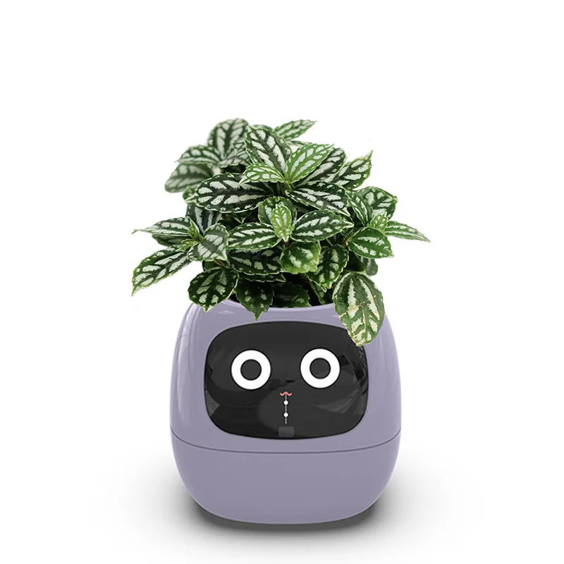 Smart Pot für Pflanze Kleiner Blumentopf