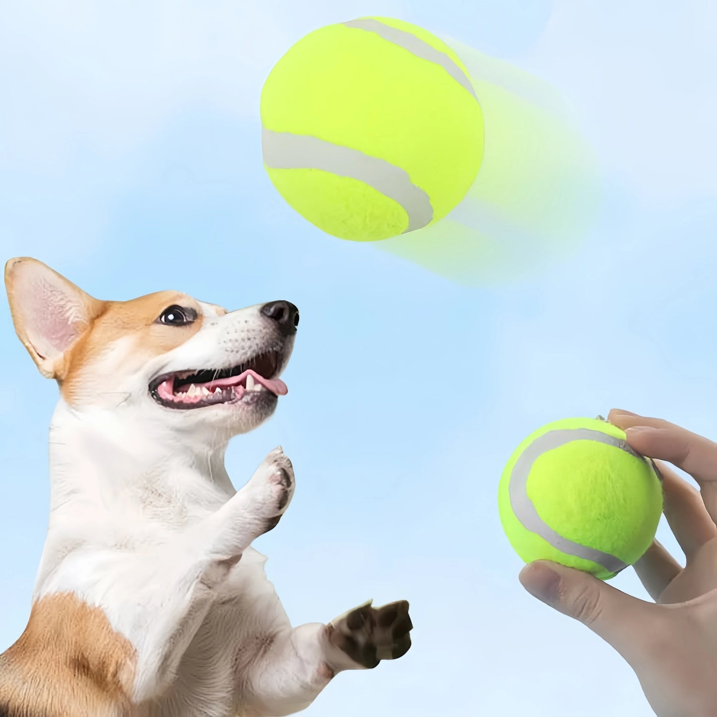6 Stück interaktive Hundetennisbälle
