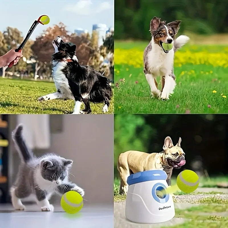 6 Stück interaktive Hundetennisbälle