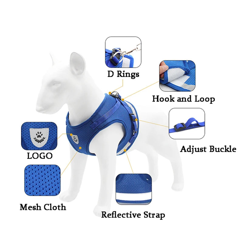 Haustier Leine Set