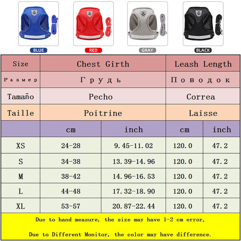 Haustier Leine Set