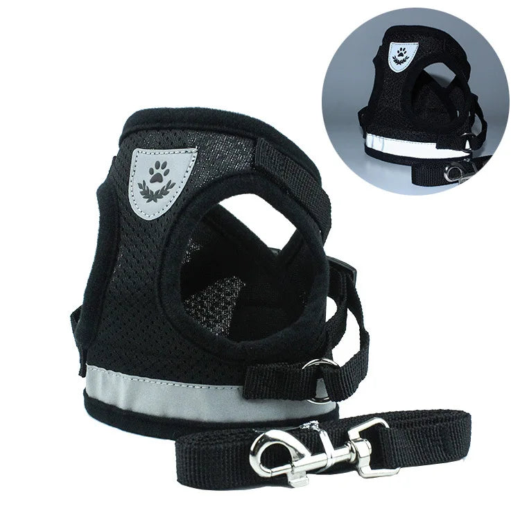 Haustier Leine Set