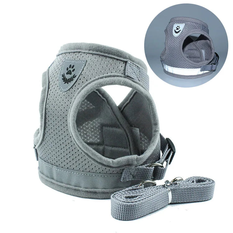 Haustier Leine Set