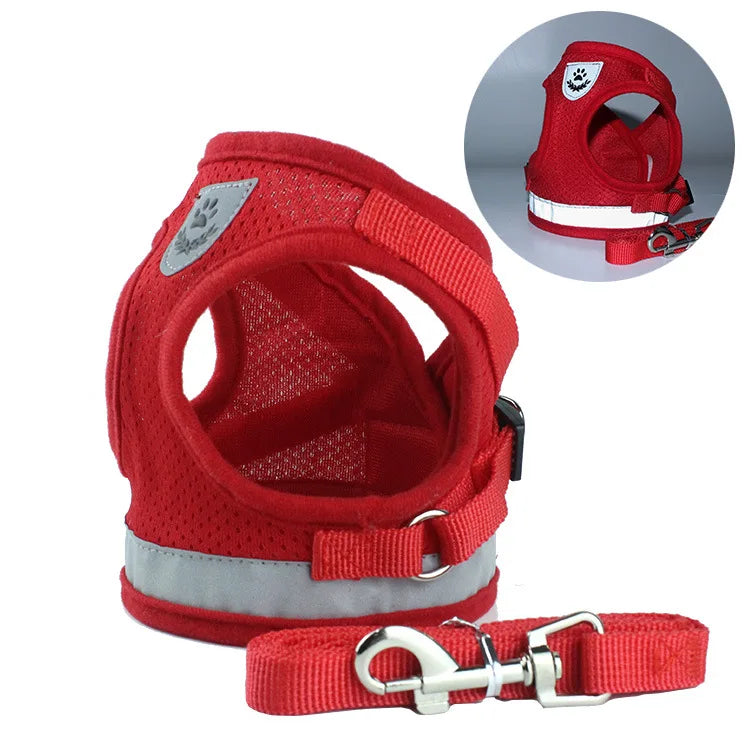 Haustier Leine Set