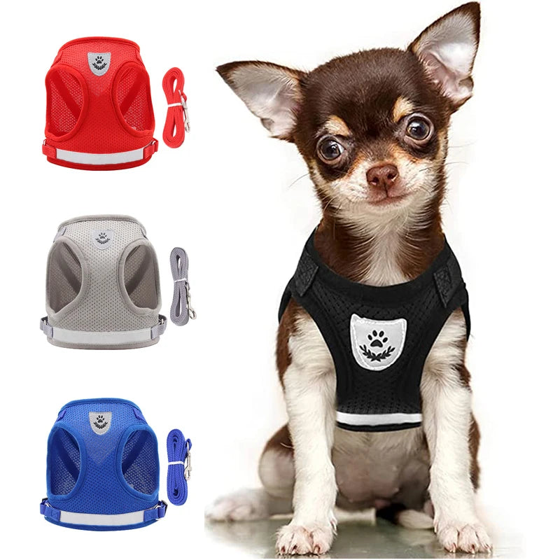 Haustier Leine Set