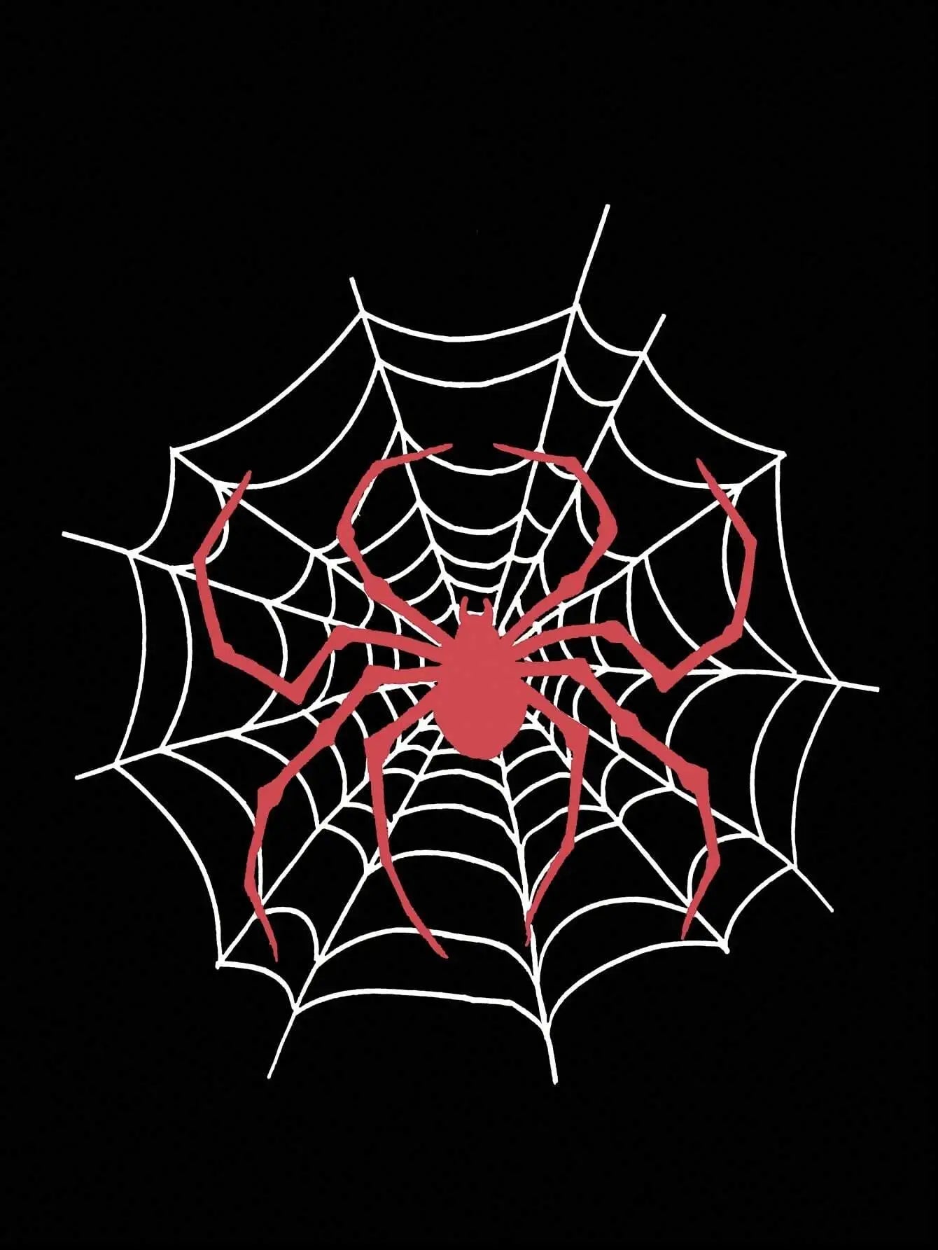 Spinnweben-Aufdruck Hoodie