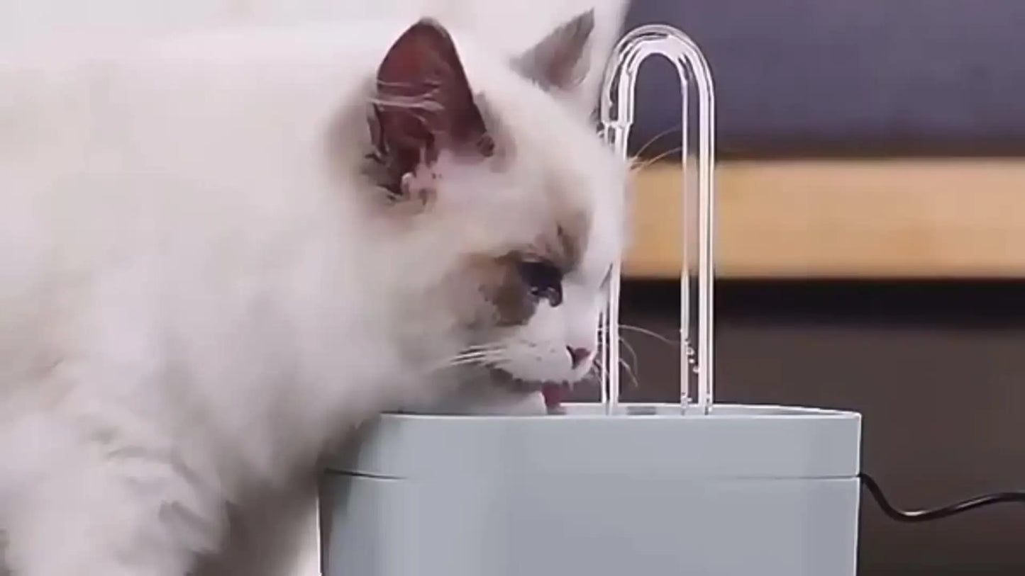 Automatischer Wasserspender für Haustiere