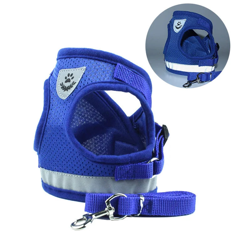Haustier Leine Set