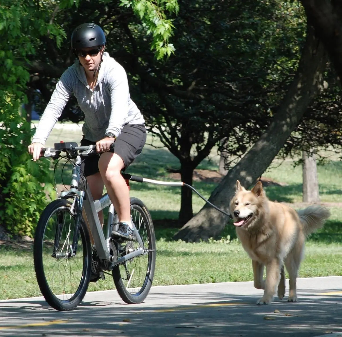 Hundeleine zum Fahrradfahren