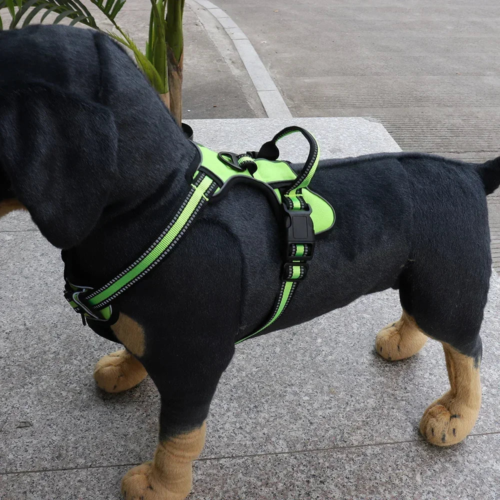 Verstellbares Hundegeschirr aus Nylon