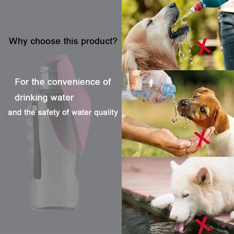 Tragbare Hundewasserflasche