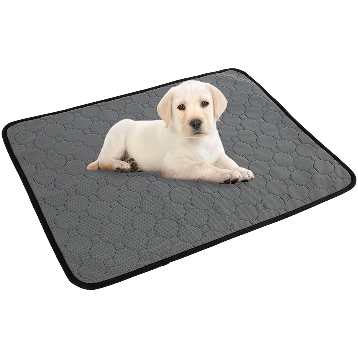 S/M/L/XL Hundeurinunterlage, waschbar, rutschfest