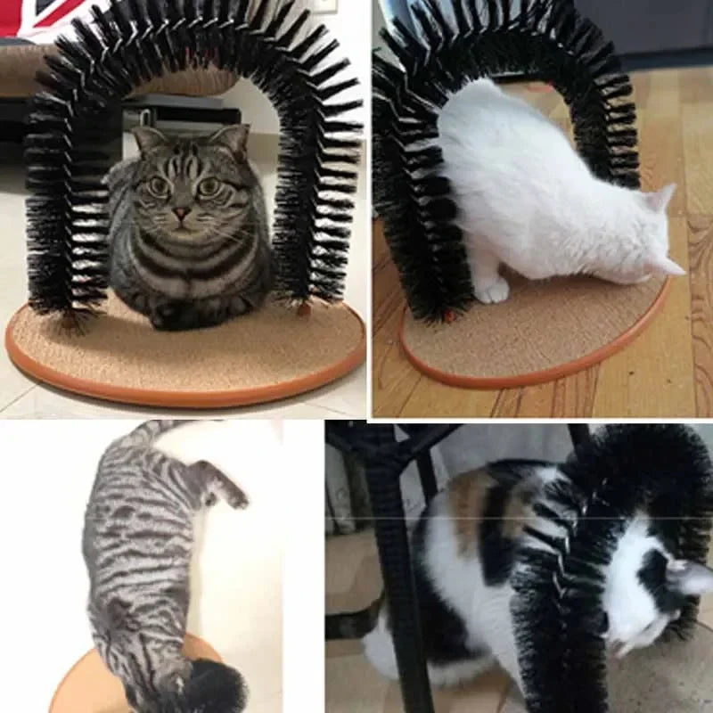 Interaktives Spielzeug für Katzen