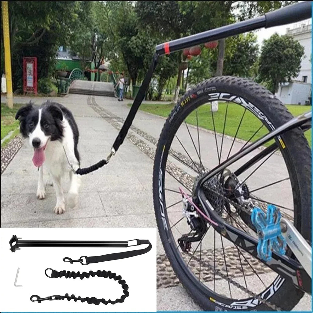 Hundeleine zum Fahrradfahren